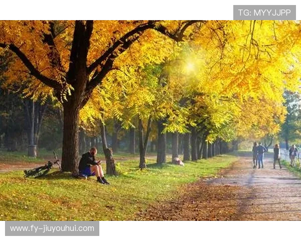 红魔足球自行车公园周边游玩攻略 探索体育与休闲完美结合的理想去处